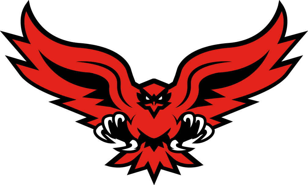 Hartford Hawks 2015-Pres Alternate Logo 06 iron on paper